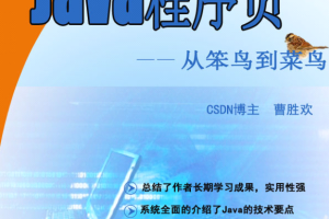 《java程序员由菜鸟到笨鸟》PDF 下载