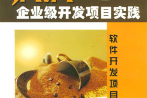 《Java企业级开发项目实践》PDF 下载