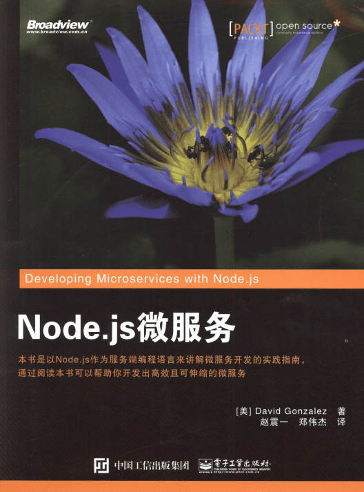 Node.js微服务 完整pdf_前端开发教程