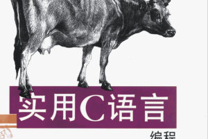实用C语言编程（第三版中文版） PDF