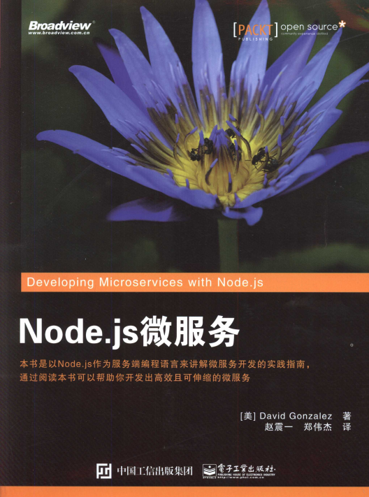 Node.js微服务 中文pdf_前端开发教程