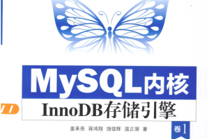 MySQL内核：InnoDB存储引擎 卷1_数据库教程