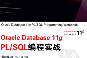 Oracle Databa se 11g PL/SQL编程实战_数据库教程
