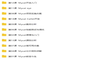 Mycat权威指南从入门到精通视频教程