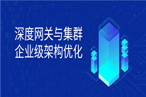 深度网关与集群企业级架构优化