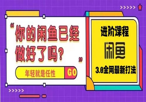 火爆全网的咸鱼玩法进阶课程，单号日入1K的咸鱼进阶课程