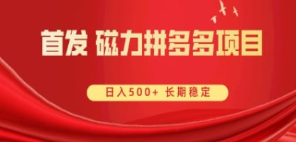 首发 磁力拼多多自撸 日入500+