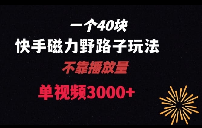 一个40块，快手联合美团磁力新玩法，无视机制野路子玩法，单视频收益4位数【揭秘】