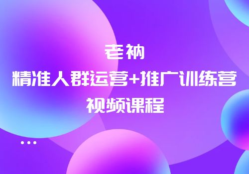 牛气学堂：老衲精准人群运营+推广训练营视频课程合集