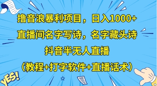 撸音浪暴利项目，日入1000+，直播间名字写诗，名字藏头诗，抖音半无人直播（教程+打字软件+直播话术）【揭秘】