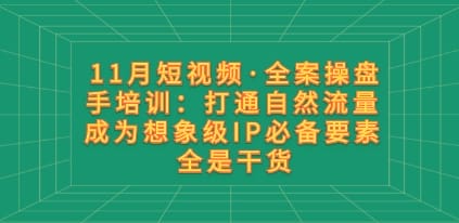11月短视频·全案操盘手培训：打通自然流量 成为想象级IP必备要素 全是干货