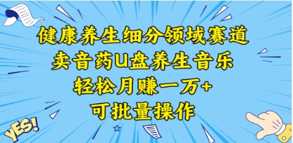 健康养生细分领域赛道，卖音药U盘养生音乐，轻松月赚一万+，可批量操作