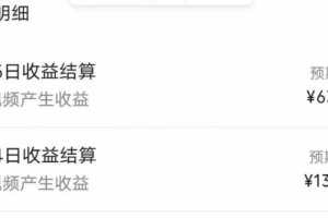 我这朋友傻瓜式搬运视频号，1天30分钟收益1373.13？