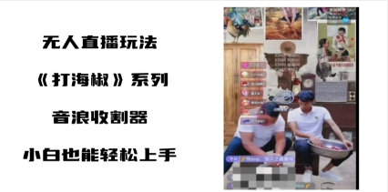 打海椒无人直播整蛊项目，小白轻松上手撸音浪收割器（教程+工具+素材）