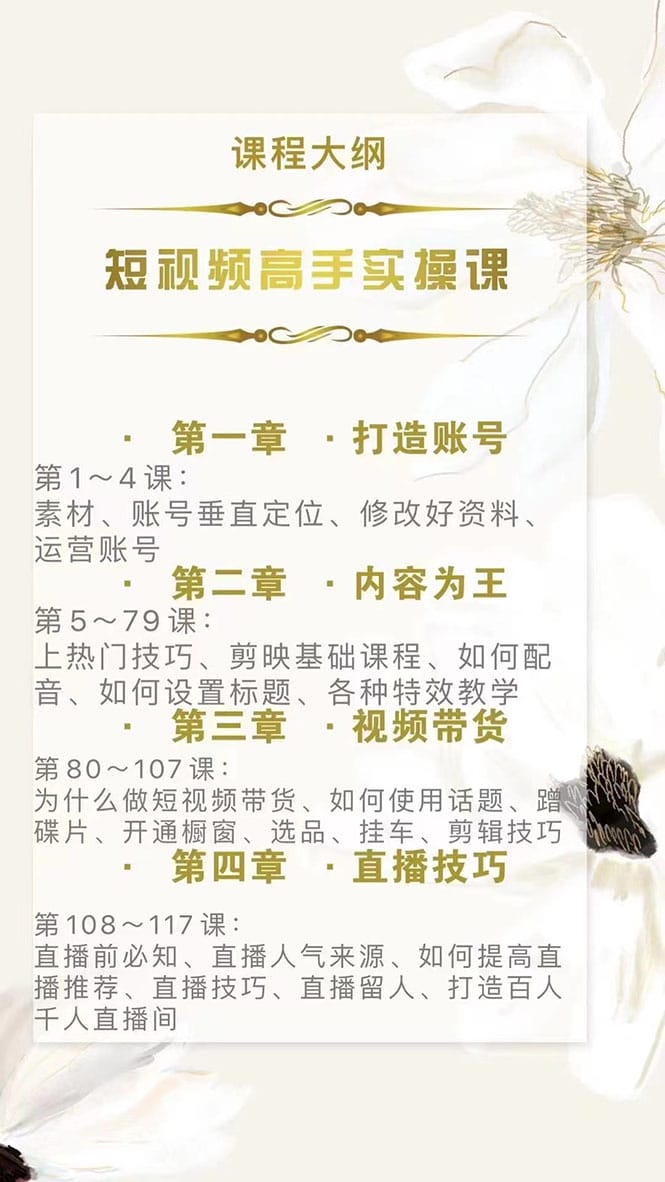 短视频高手实操课：从入门到精通，账号+运营+直播，应有尽有