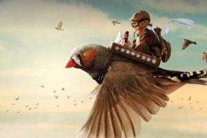 Adobe CC 2017 Win系列软件 免费下载