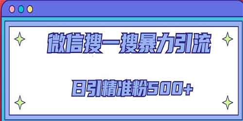 2023微信搜一搜引流全系列课程，日引精准粉500+（8节课）