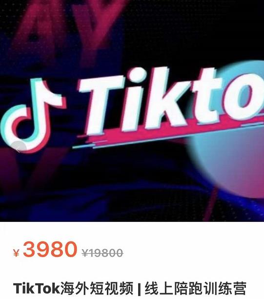 TikTok海外抖音短视频线上陪跑训练营，玩赚Tiktok少走弯路（价值3980）