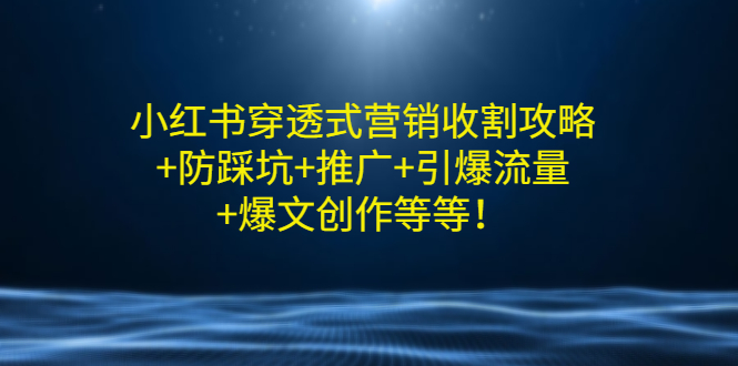 小红书穿透式营销收割攻略+防踩坑+推广+引爆流量+爆文创作等等