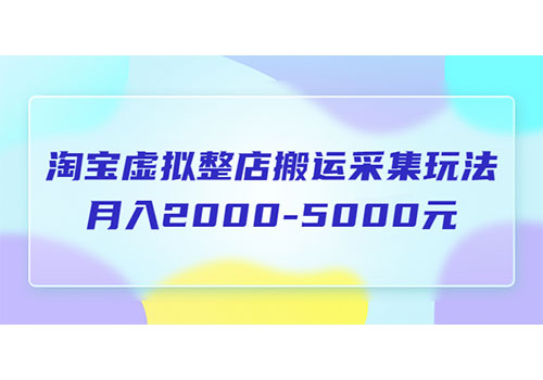 淘宝虚拟整店搬运采集玩法分享课：月入2000-5000元（5节课）
