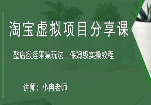 淘宝虚拟整店搬运采集玩法分享课：整店搬运采集玩法，保姆级实操教程