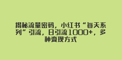 揭秘流量密码，小红书“每天系列”引流，日引流1000+，多种变现方式