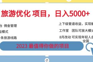 游优化项目,2023最值得你做的项目没有之一,带你月入过万