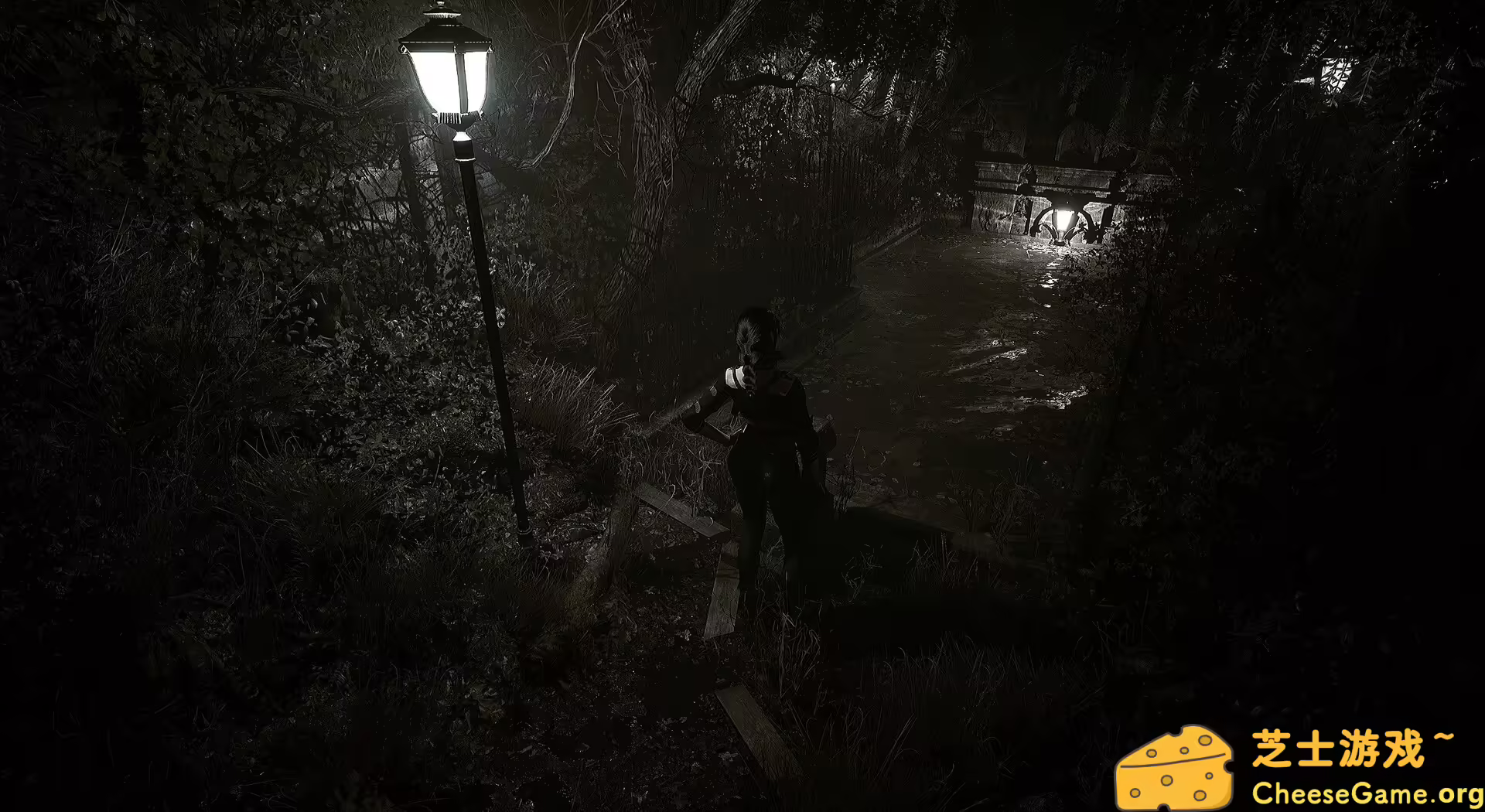 [PC]生者回响/Echoes of the Living