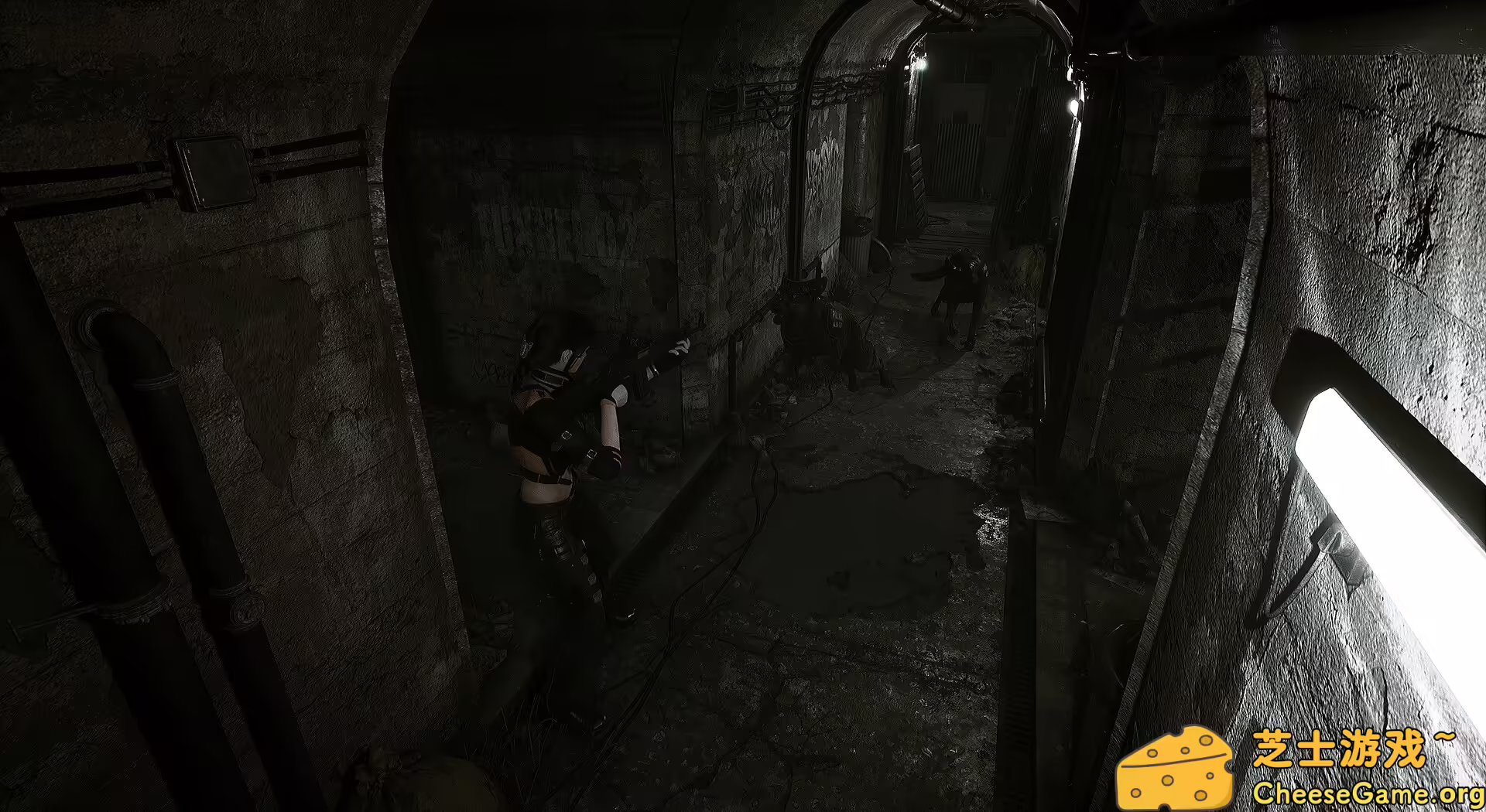 [PC]生者回响/Echoes of the Living