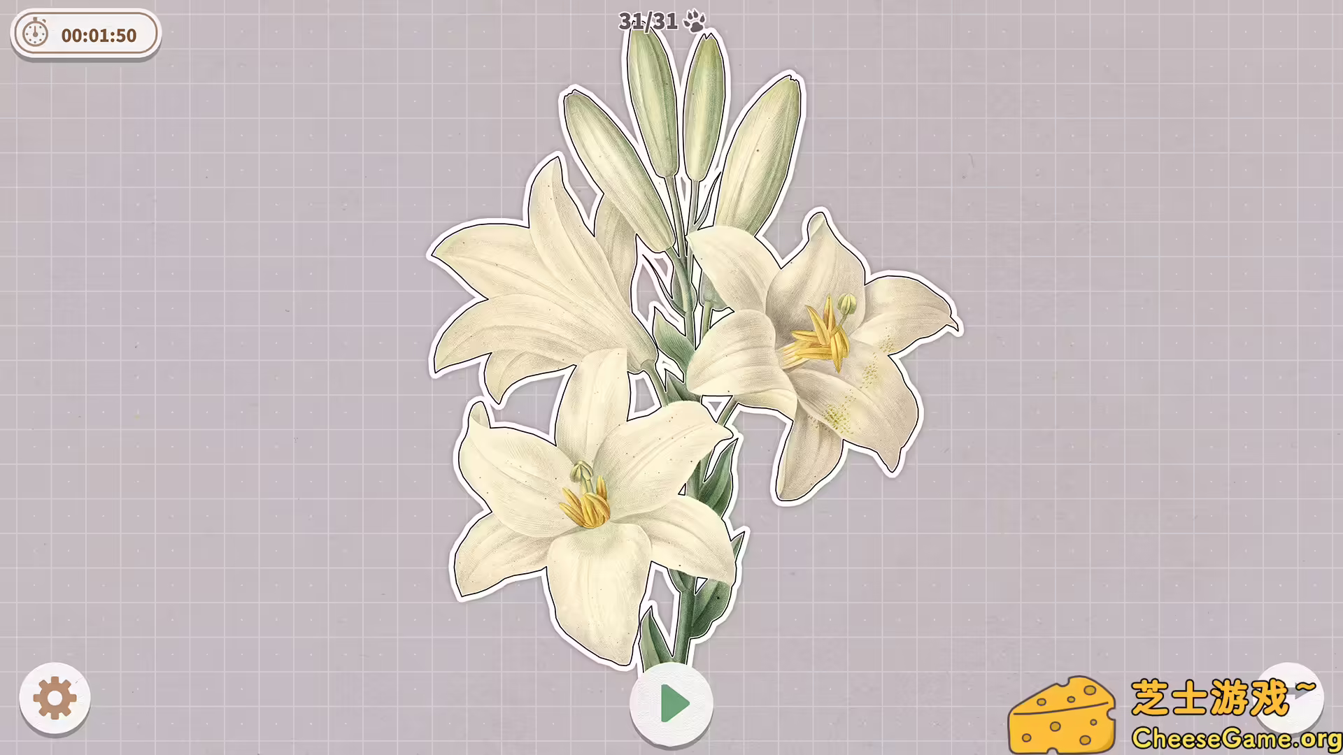 [PC]挤在一起的植物/Plants Huddled Together