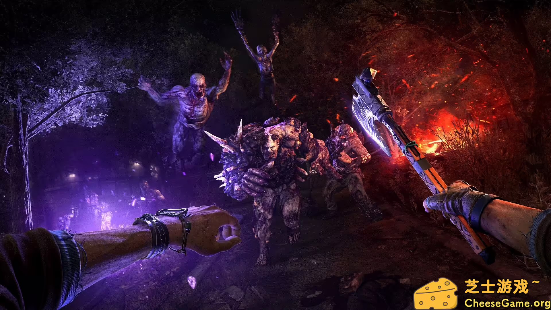 [PC]消逝的光芒2：人与仁之战/Dying Light 2 Stay Human