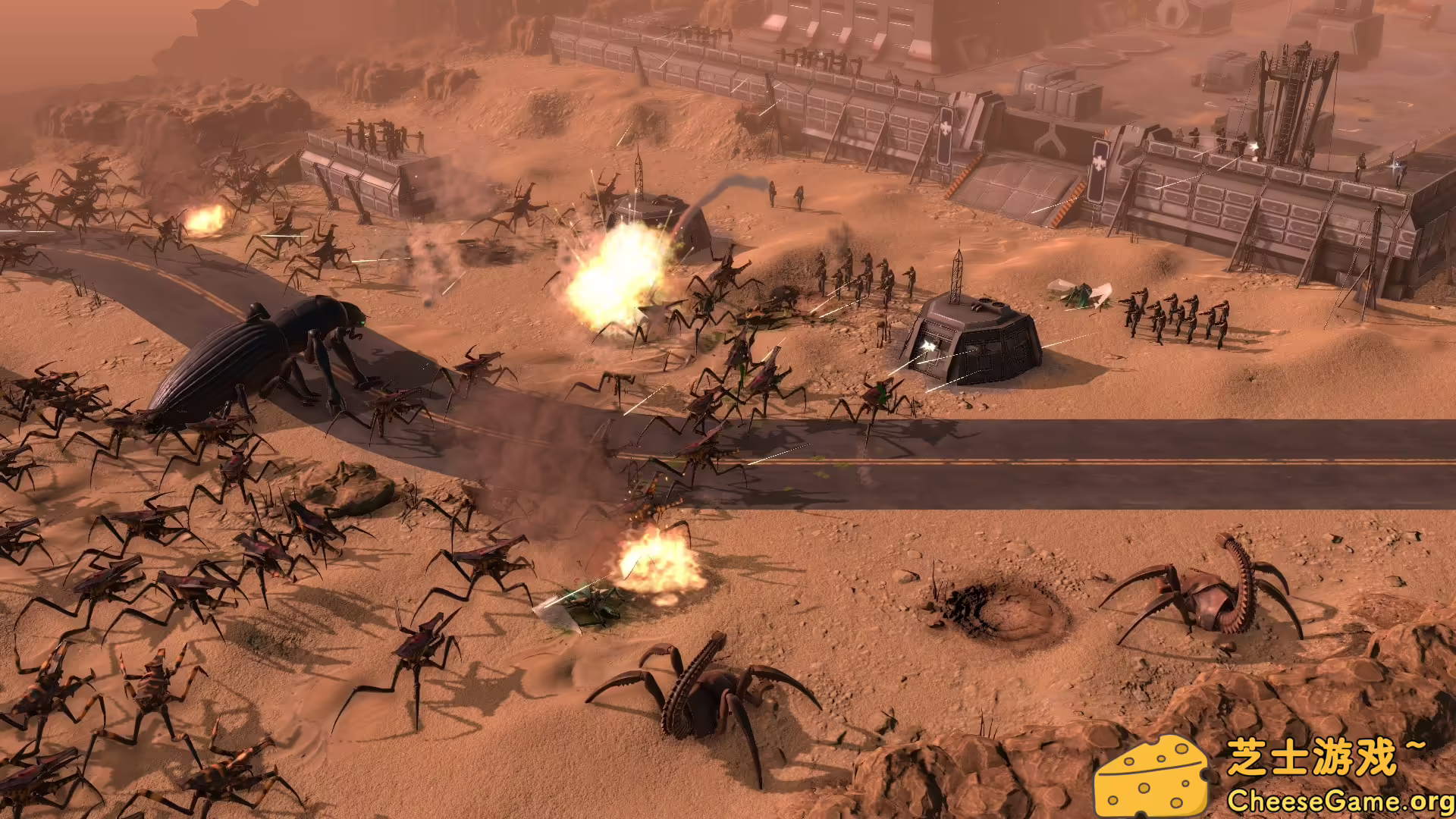 [PC]星河战队：人类指挥部/Starship Troopers: Terran Command