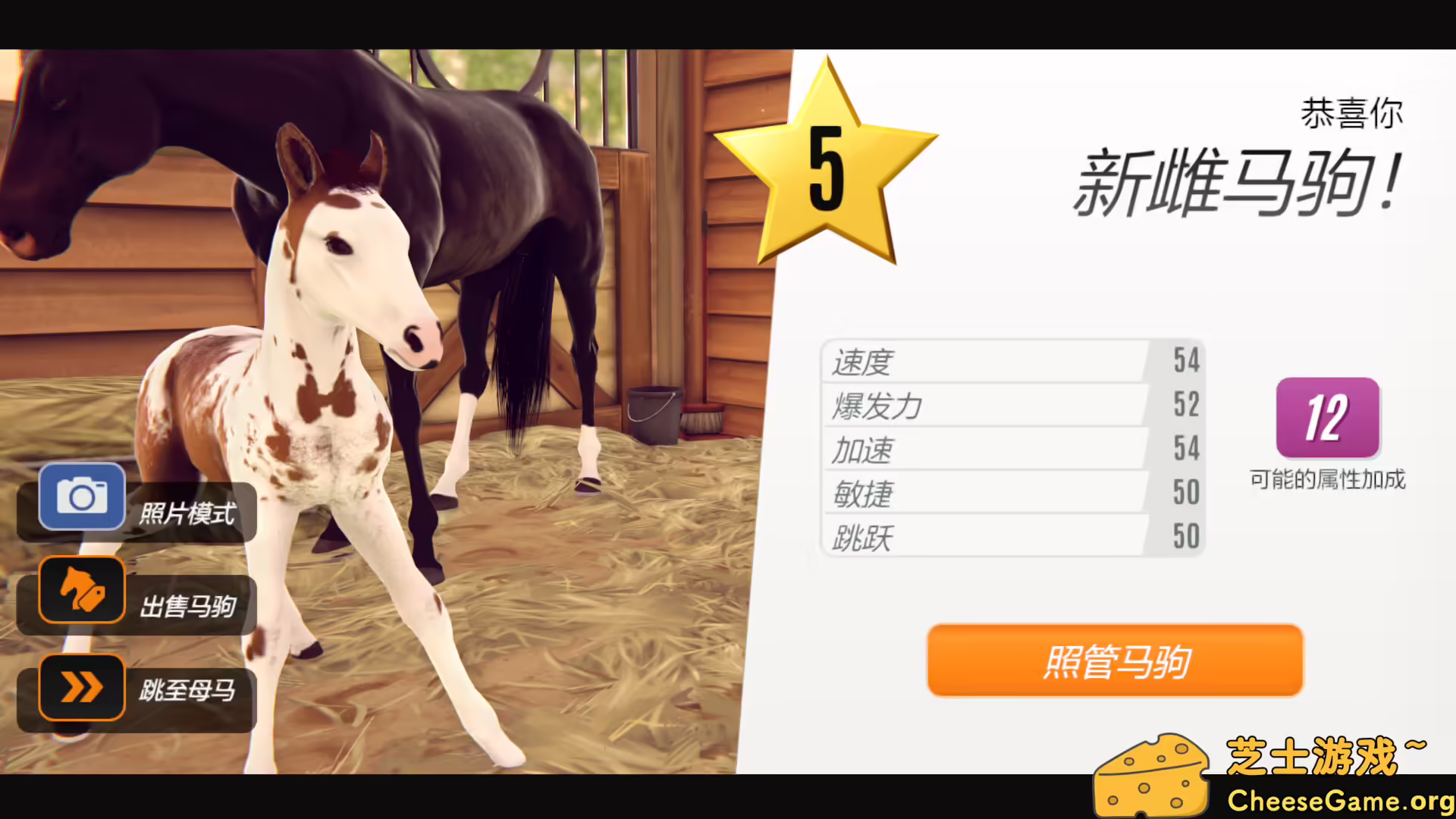 [PC]家族传奇：马匹养成竞技/Rival Stars Horse Racing: Desktop Edition