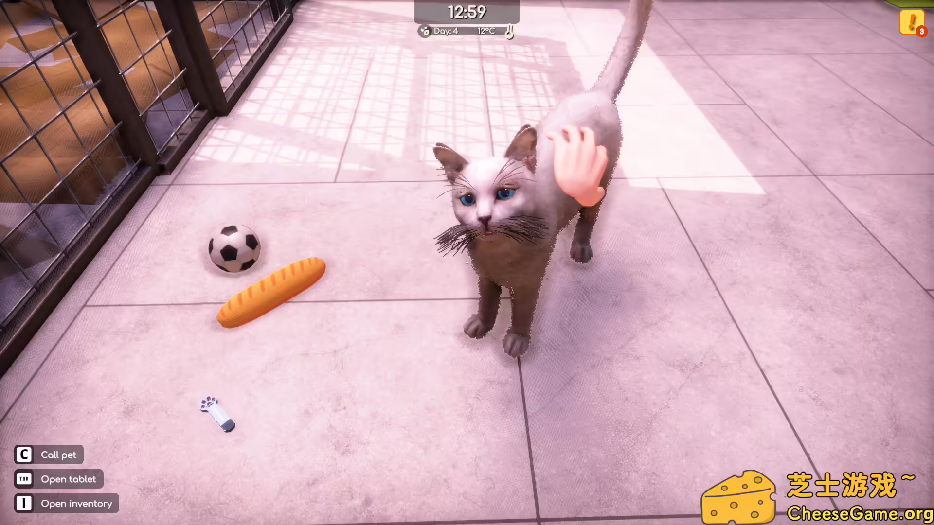 [PC]动物收容所2/Animal Shelter 2/支持网络联机