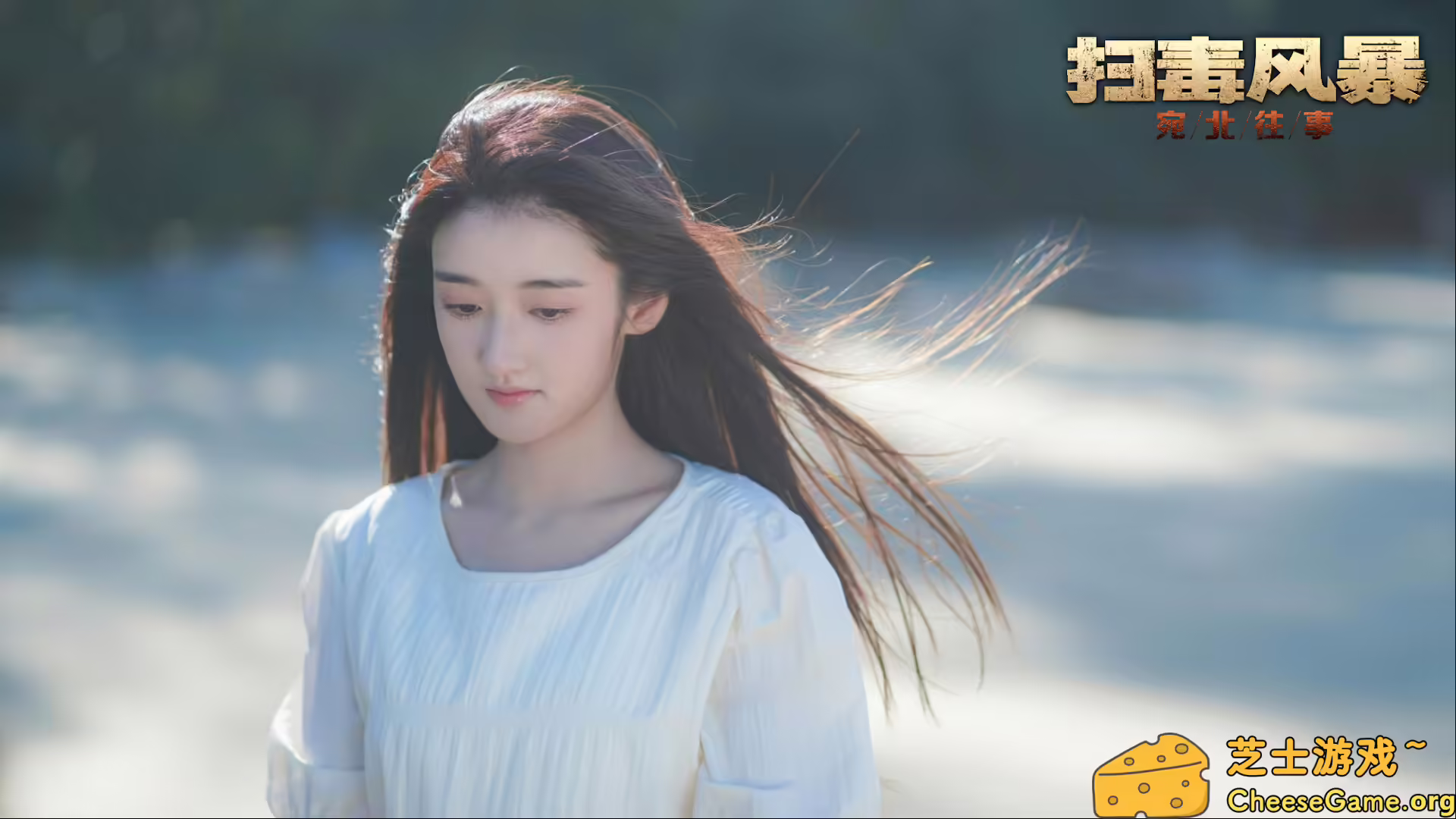 [PC]扫毒风暴：宛北往事/The Narcotic Operation