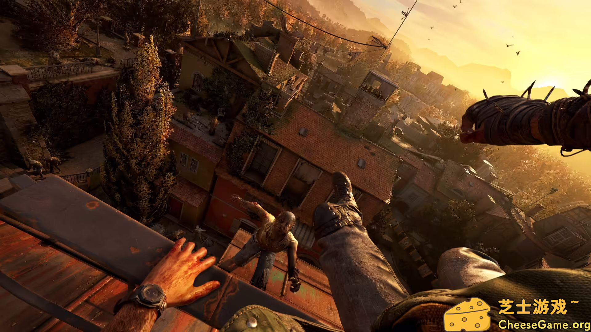 [PC]消逝的光芒：困兽/Dying Light: The Beast