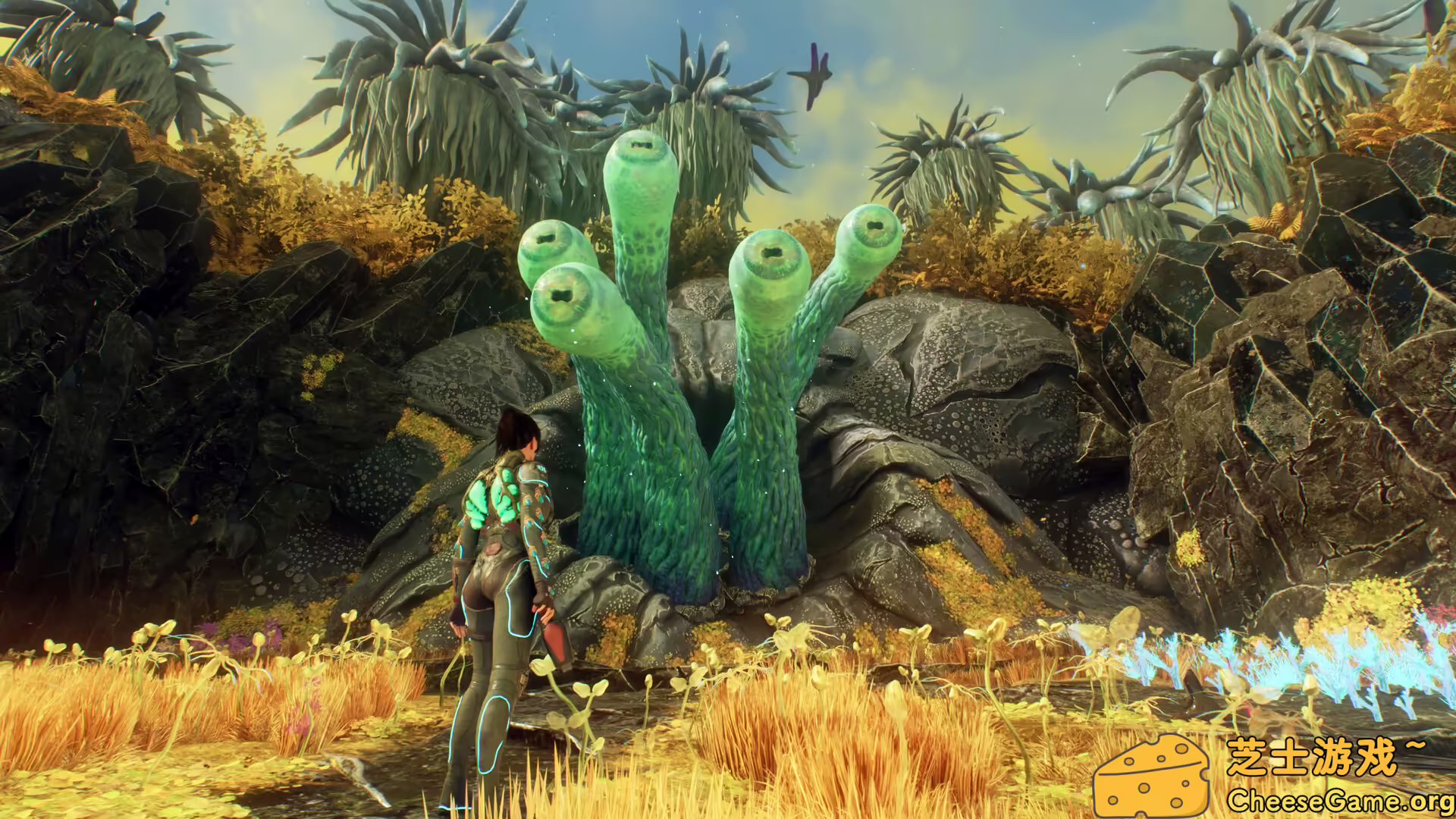 [PC]异形皮肤/Otherskin