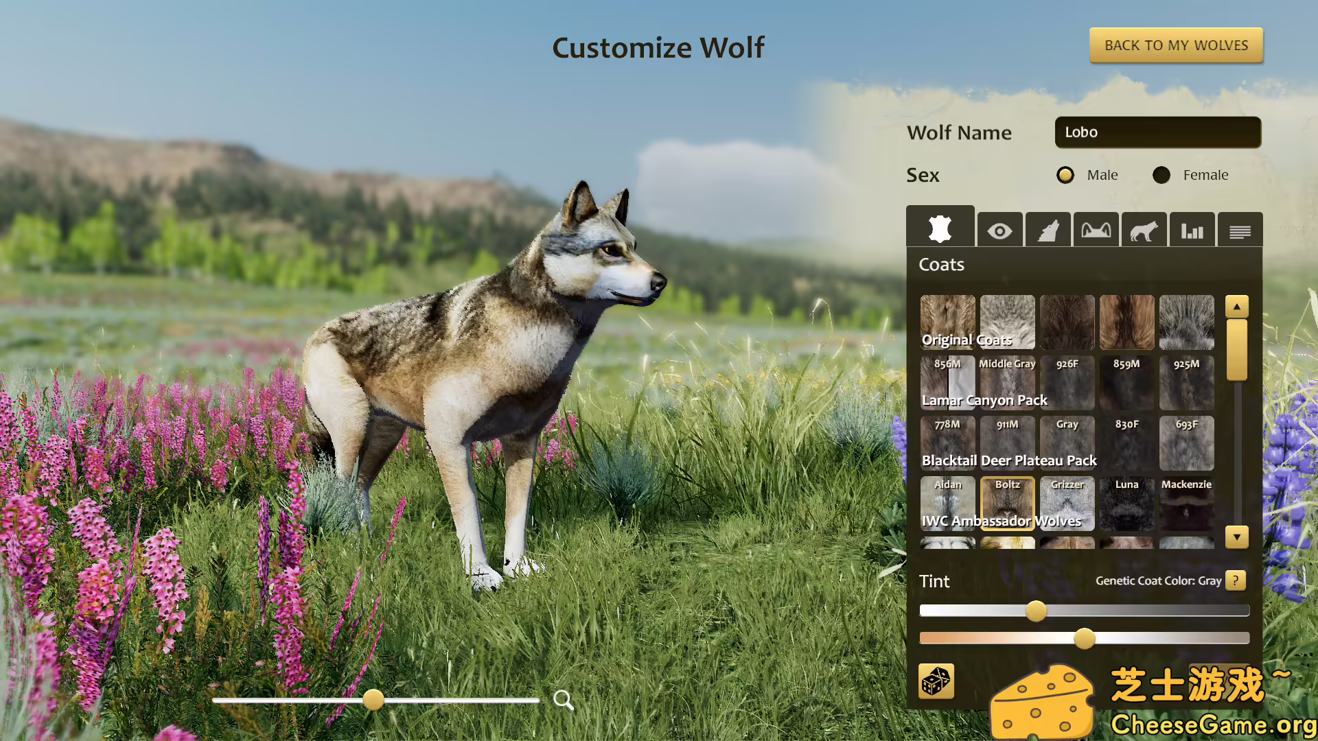 [PC]野狼谜踪：周年纪念版/WolfQuest: Anniversary Edition