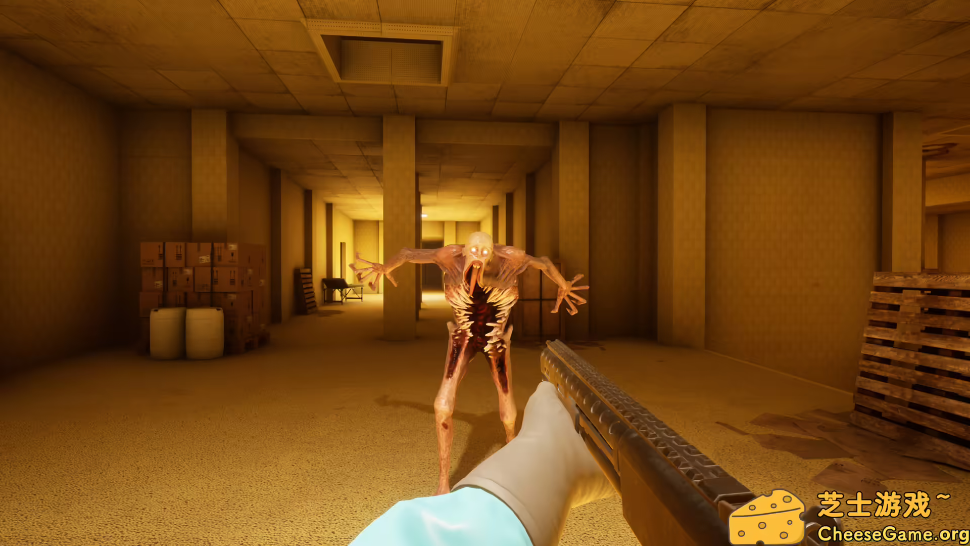 [PC]BACKROOMS: 恐惧/BACKROOMS: APPREHENSION