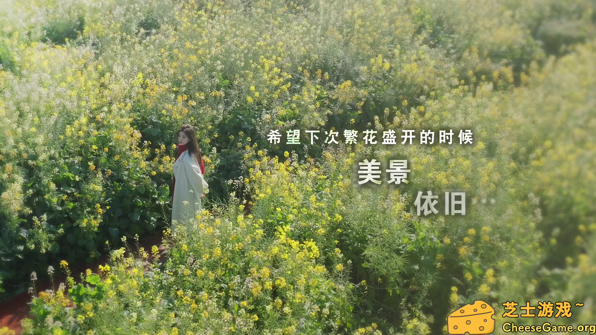 [PC]这个是真的喜欢！/I\'ve Fallen For You!