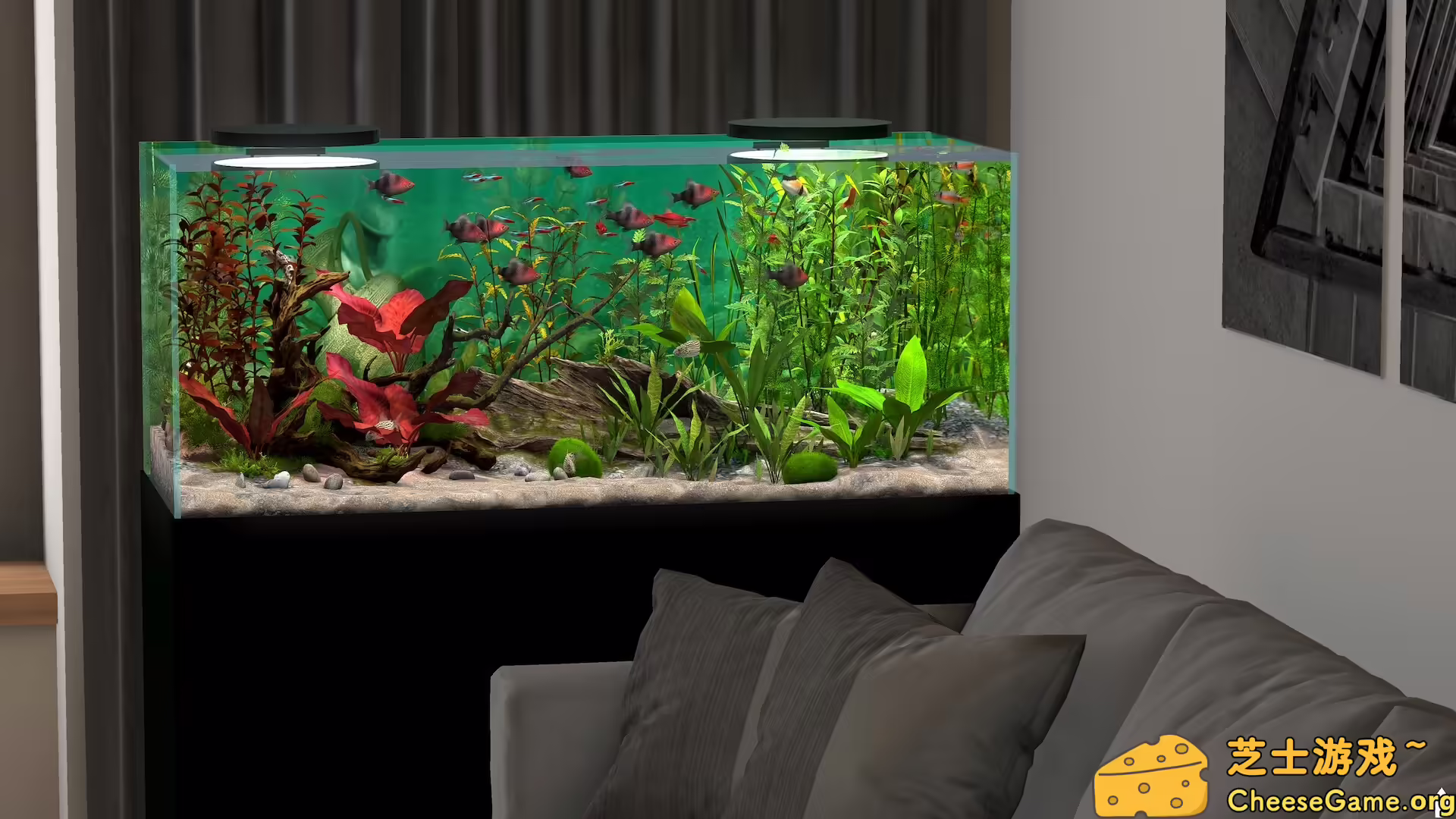 [PC]玻璃背后：水族馆模拟器/Behind Glass: Aquarium Simulator