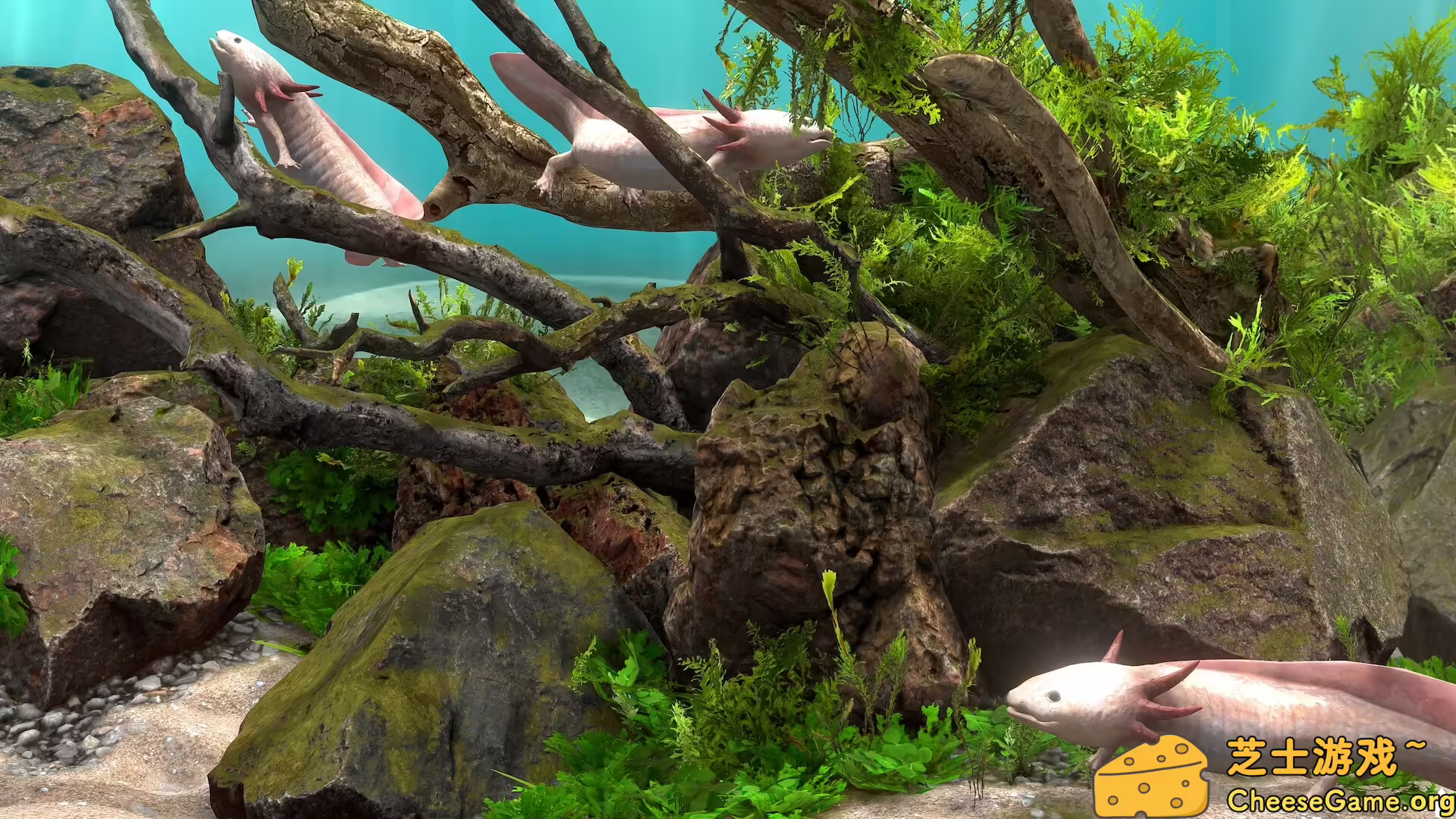 [PC]玻璃背后：水族馆模拟器/Behind Glass: Aquarium Simulator