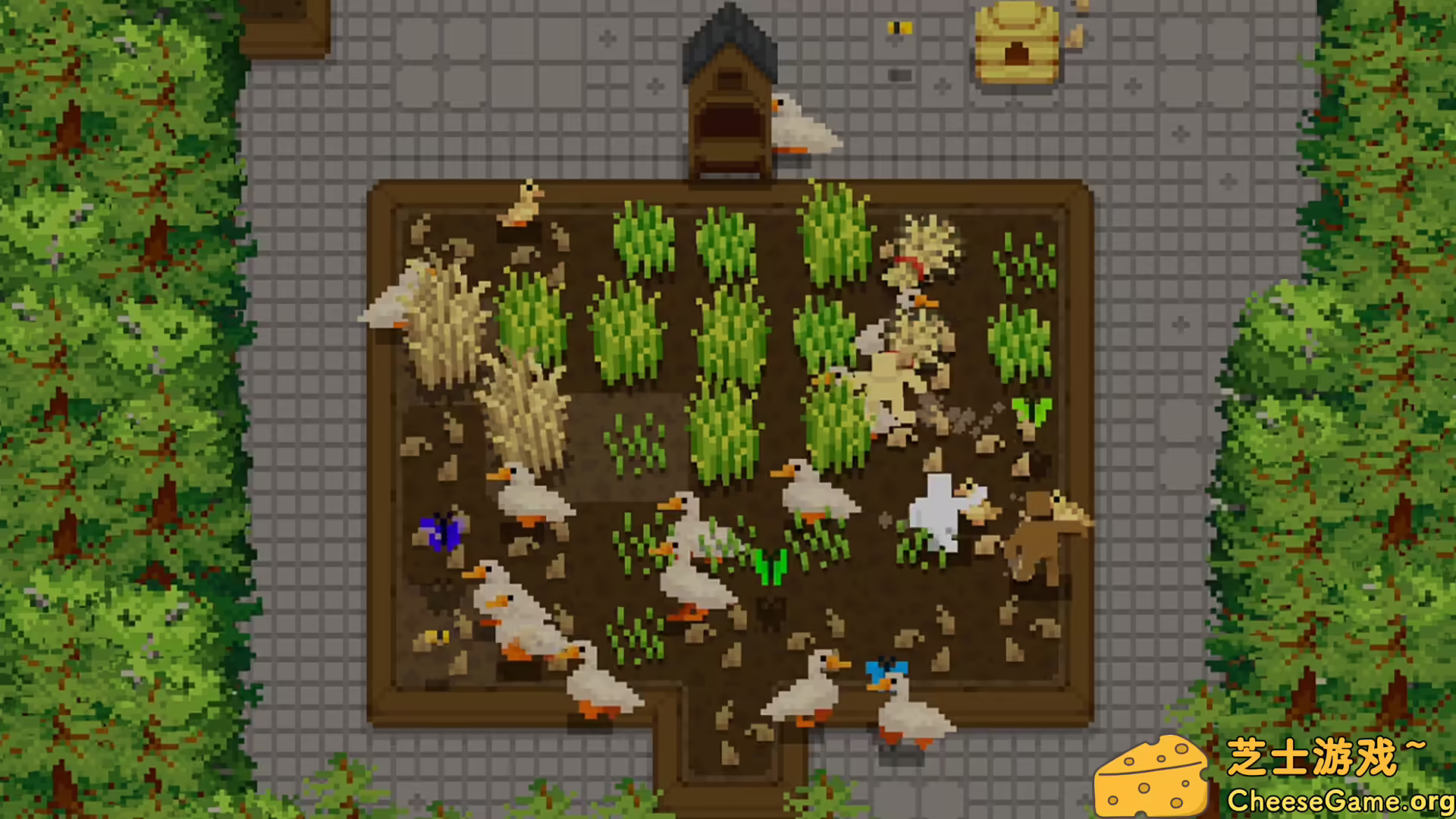 [PC]小梯田/Tiny Terraces