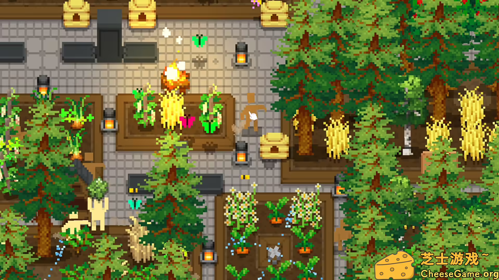 [PC]小梯田/Tiny Terraces