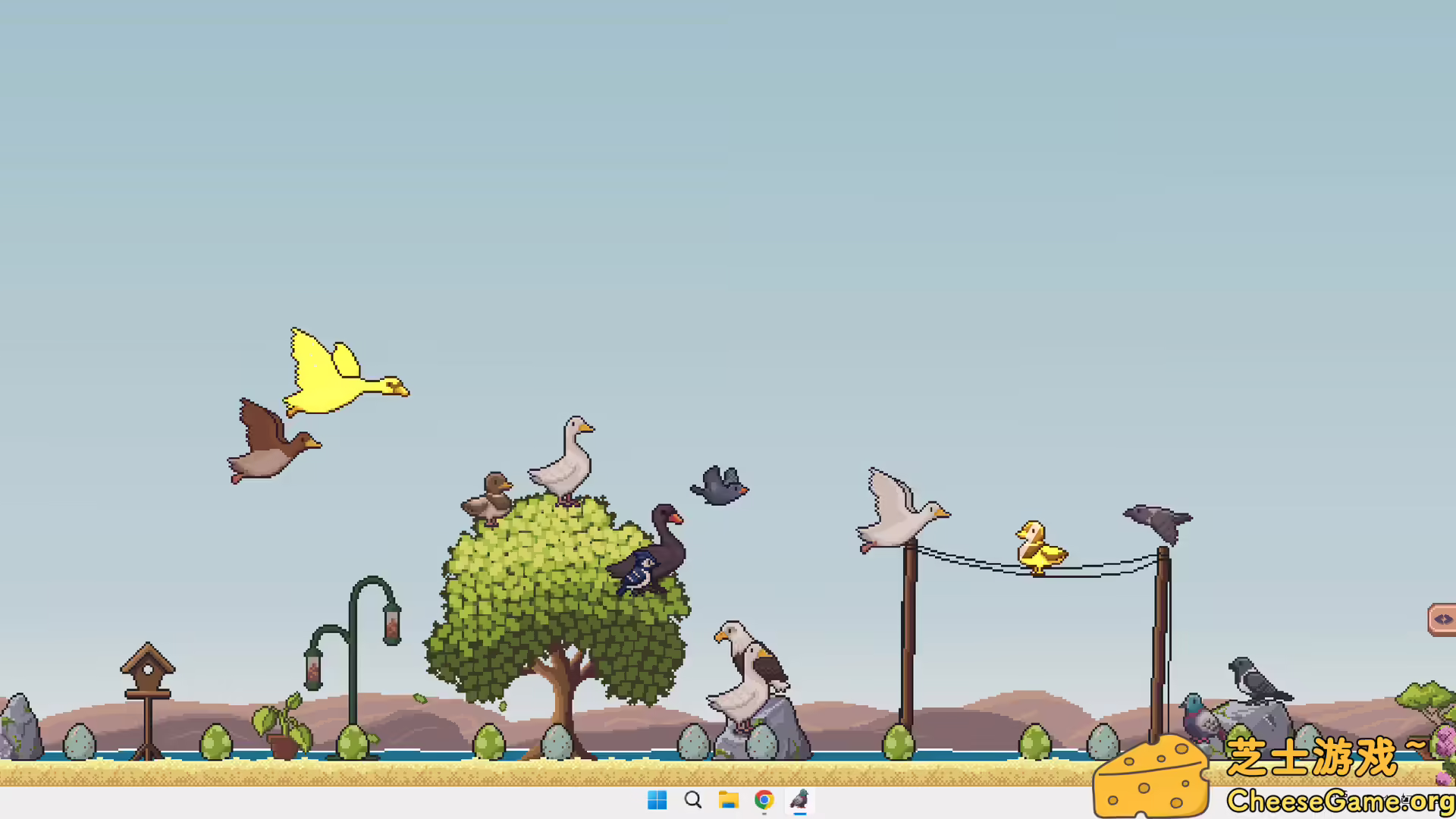 [PC]桌面鸟舍：小小鸟陪你摸大鱼/Little Aviary