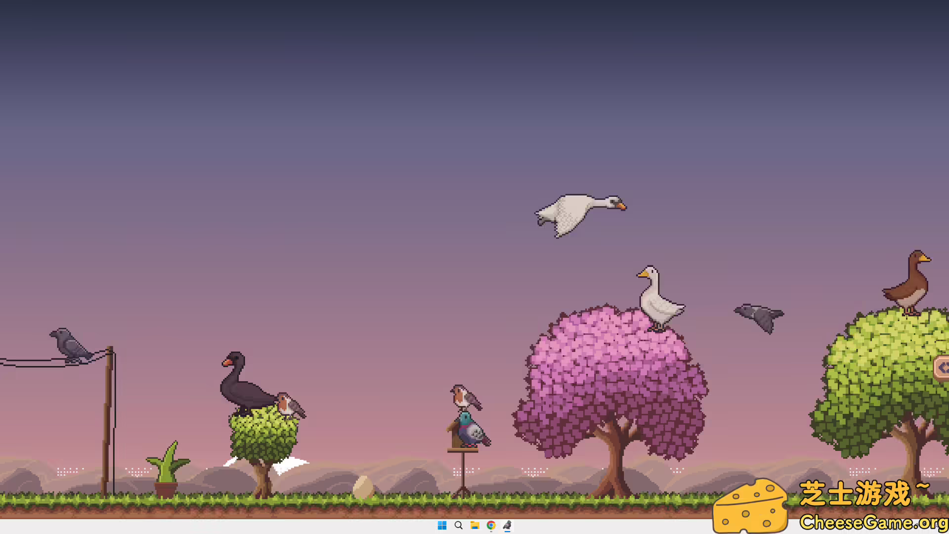 [PC]桌面鸟舍：小小鸟陪你摸大鱼/Little Aviary