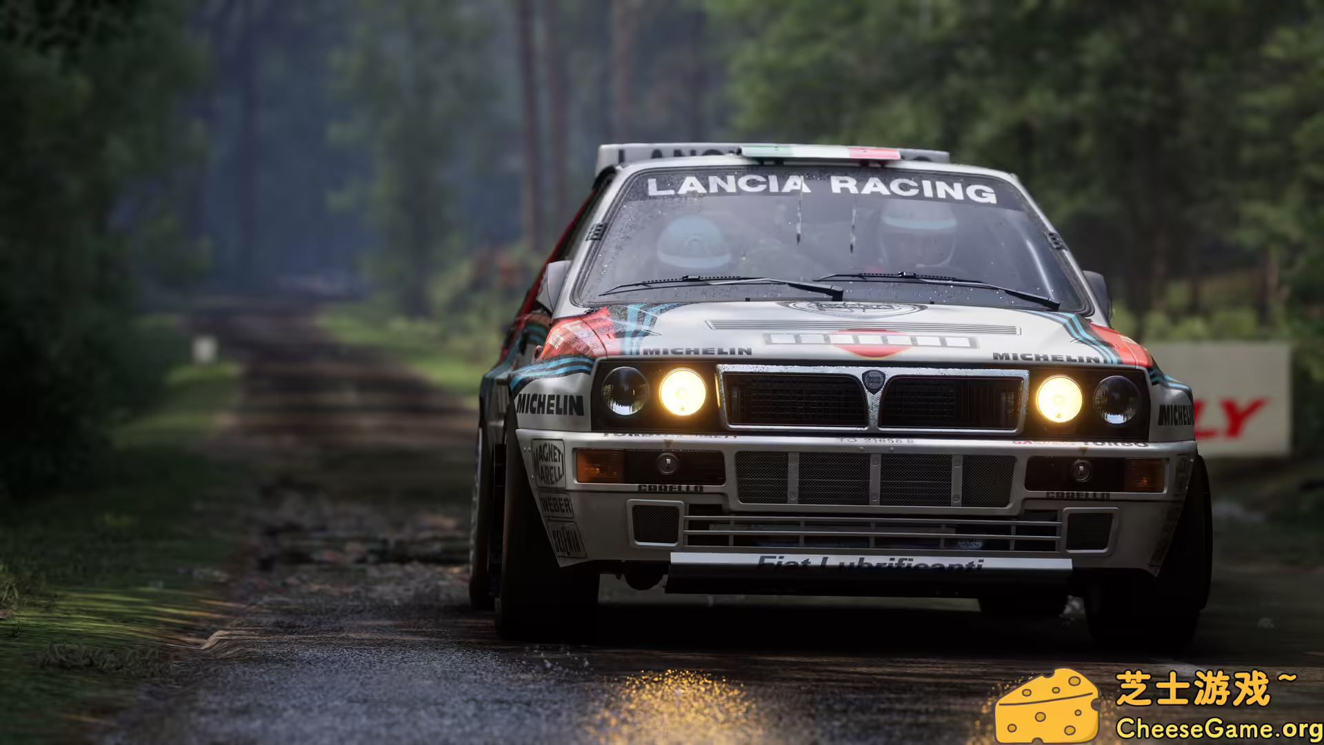 [PC]神力科莎：拉力/Assetto Corsa Rally