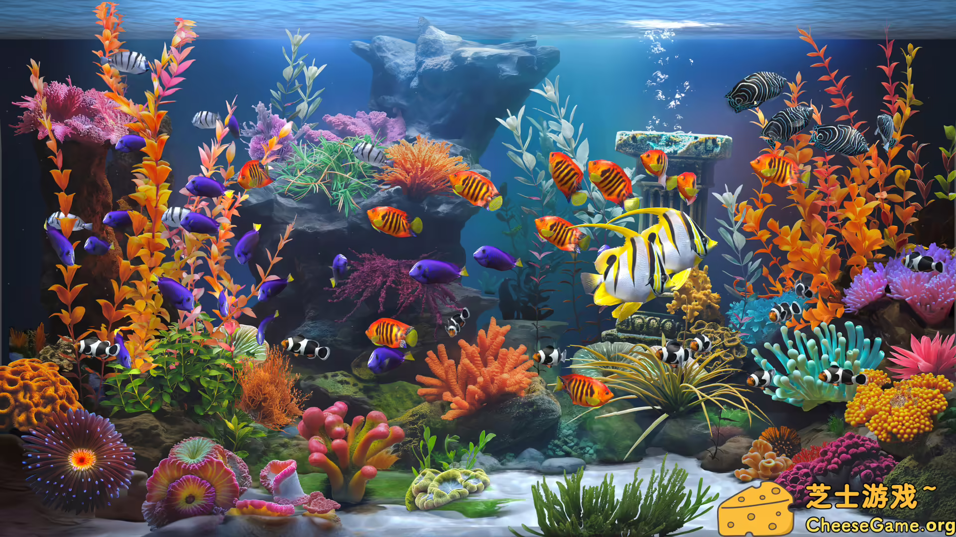 [PC]禅意水族馆/Zen Aquarium