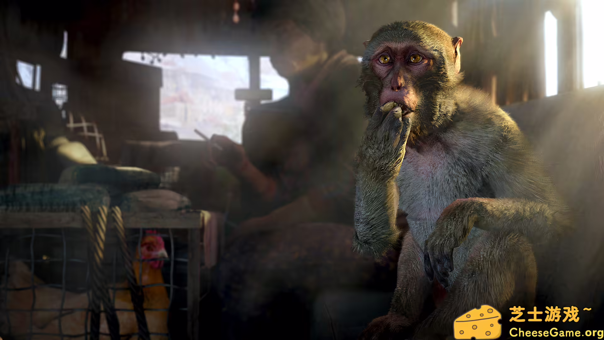 [PC]孤岛惊魂4/Far Cry 4