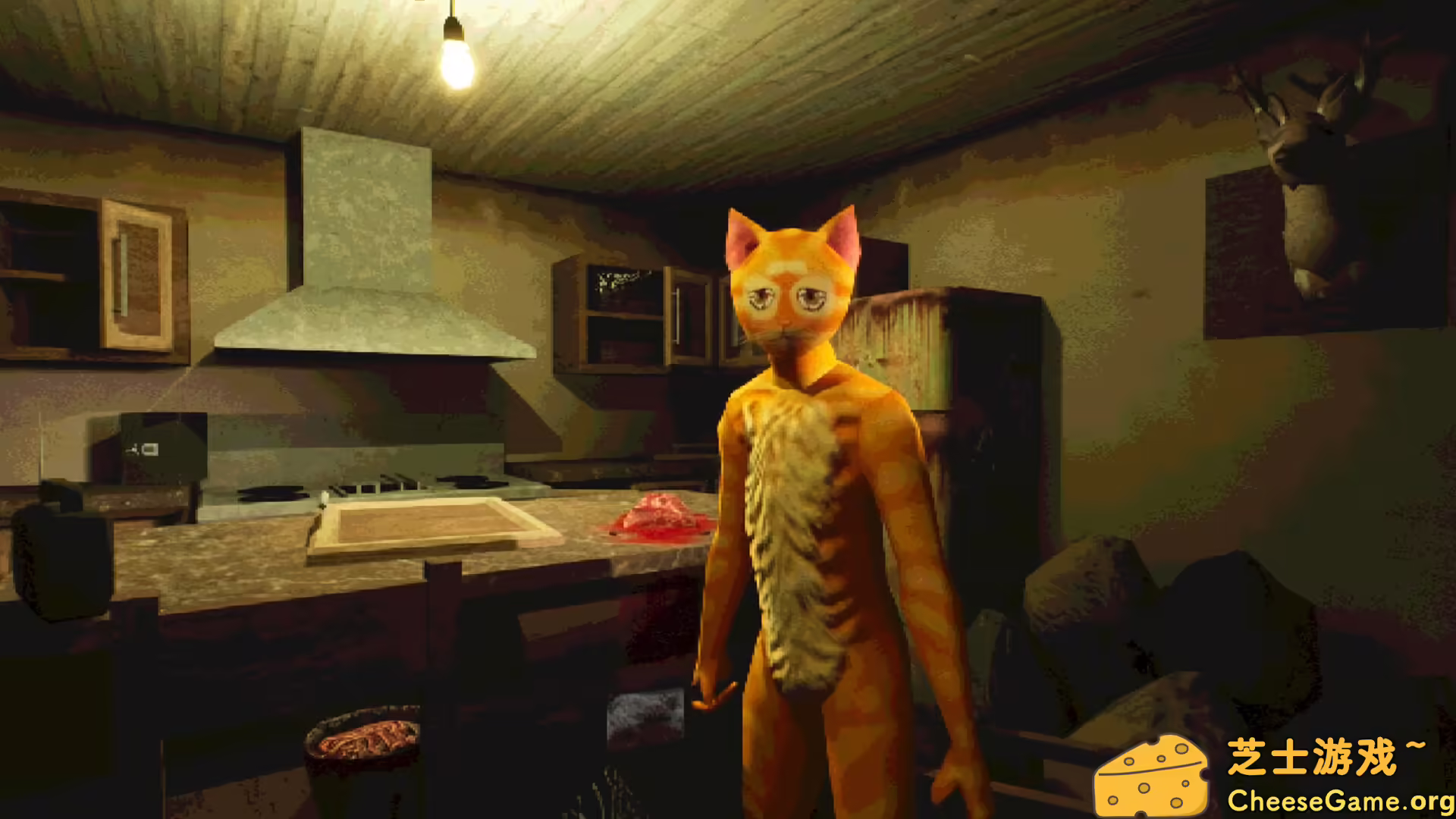 [PC]莫哈维之猫/Cat Named Mojave